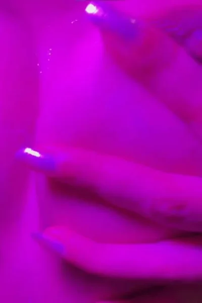 Pornstar Ginasavagex Fapello Exclusive