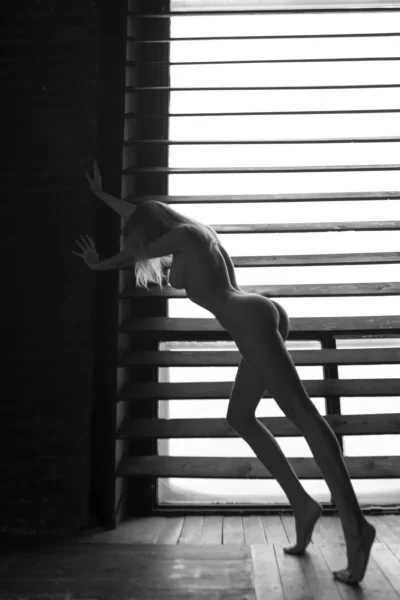 Steadfast Ekaterina Enokaeva Onlyfans Videos Unbelievable Hoe