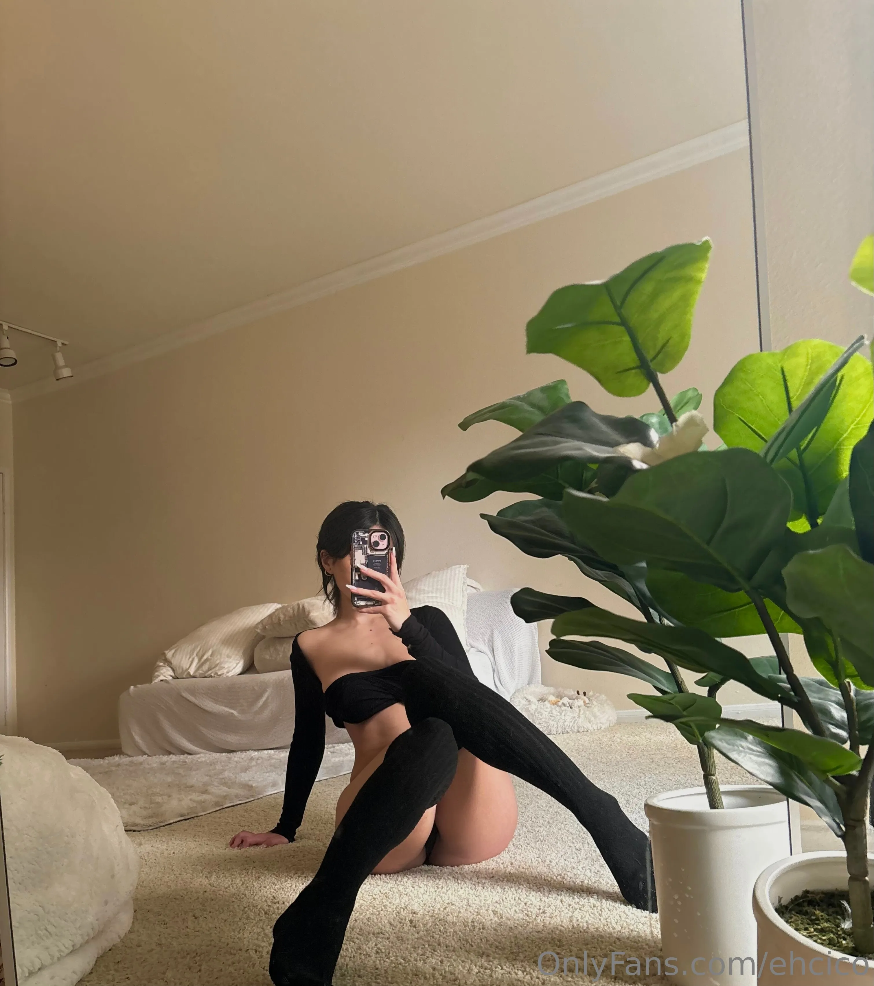 Magnetic Ehcico leaks real