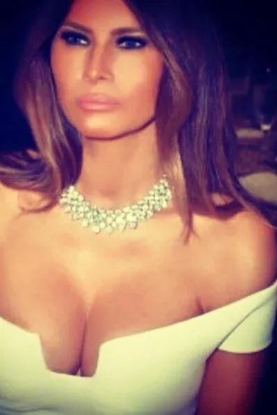 Brave Melania Trump Reddit