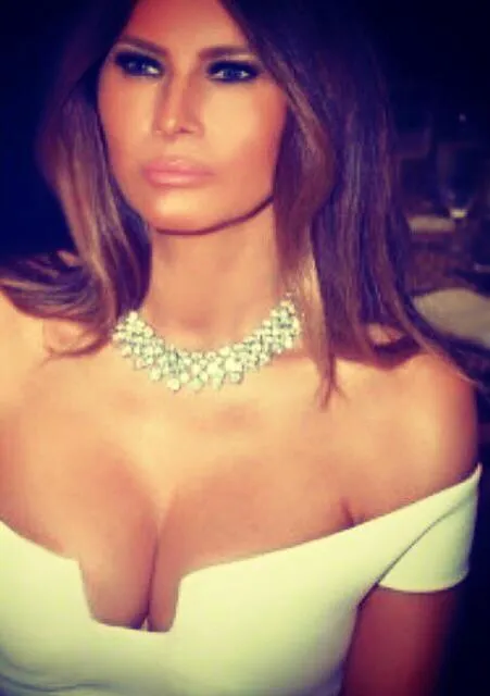 brave Melania Trump reddit