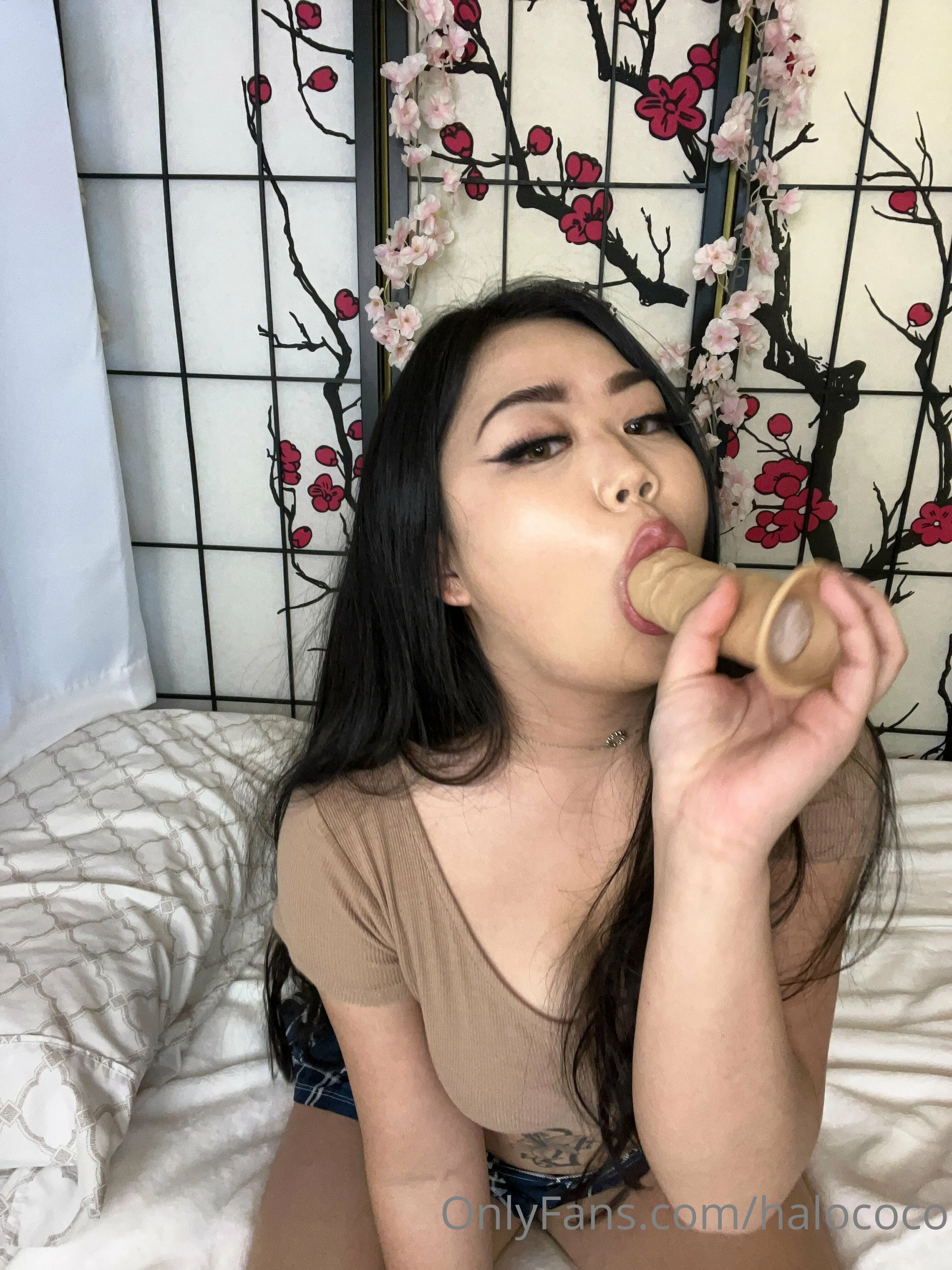 Considerate nice tits Halococo onlyfans leak release